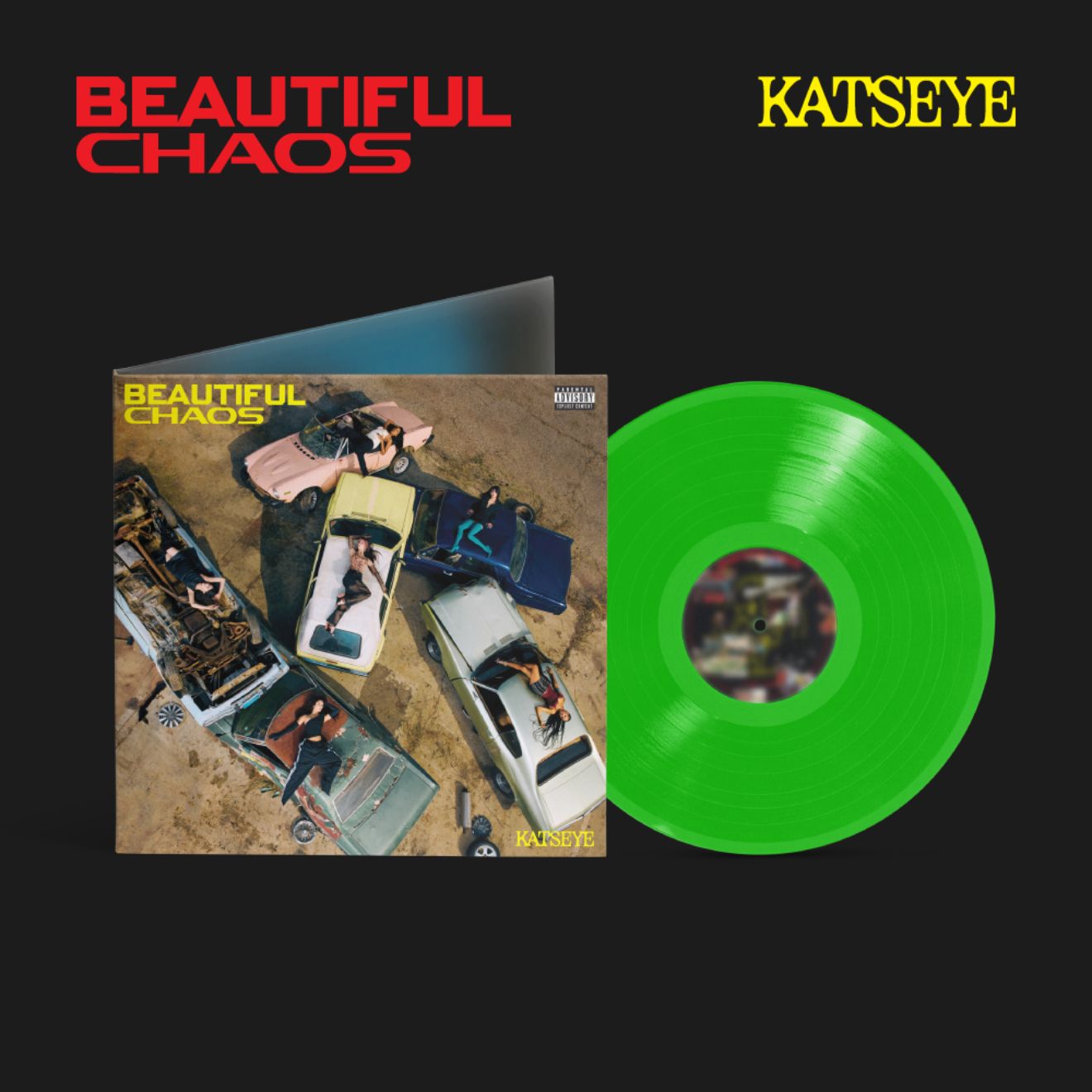 BEAUTIFUL CHAOS - Standard Vinyl