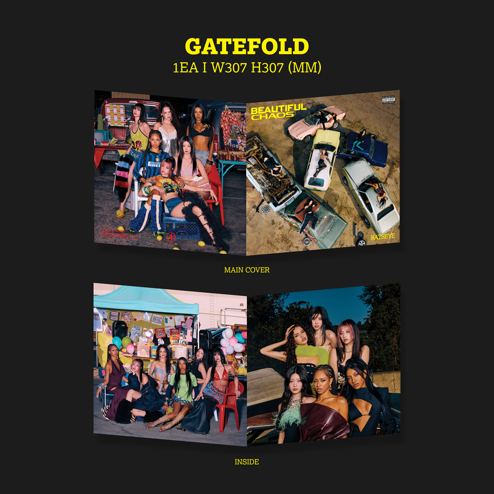 BEAUTIFUL CHAOS - Standard Vinyl