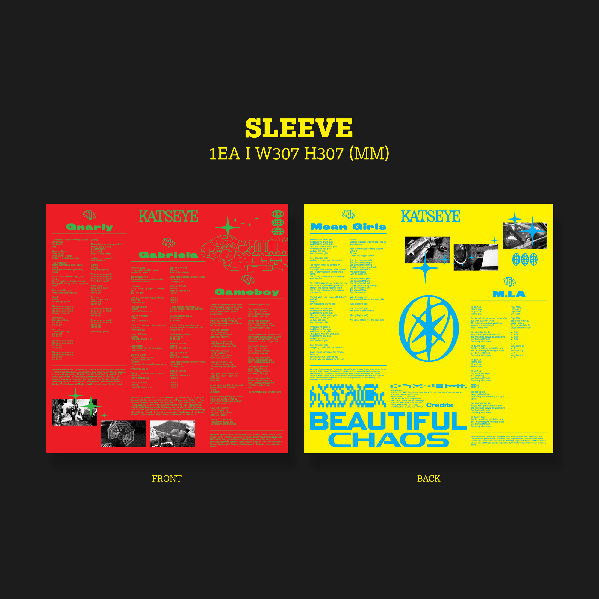 BEAUTIFUL CHAOS - Standard Vinyl