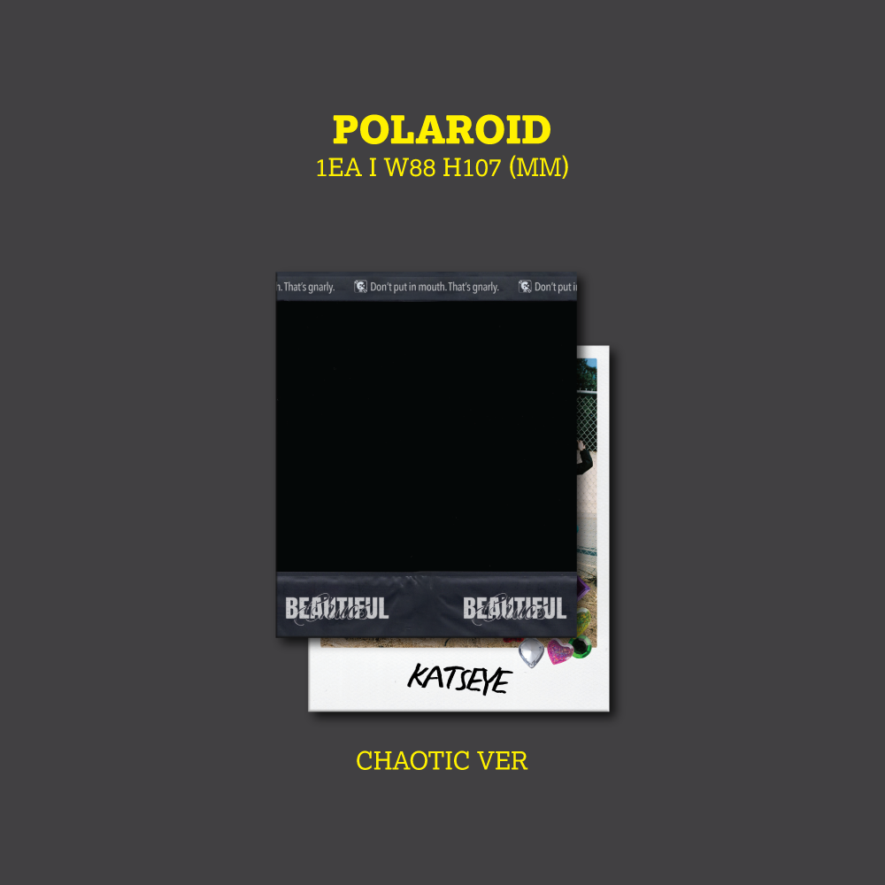 BEAUTIFUL CHAOS (Chaotic Ver.)