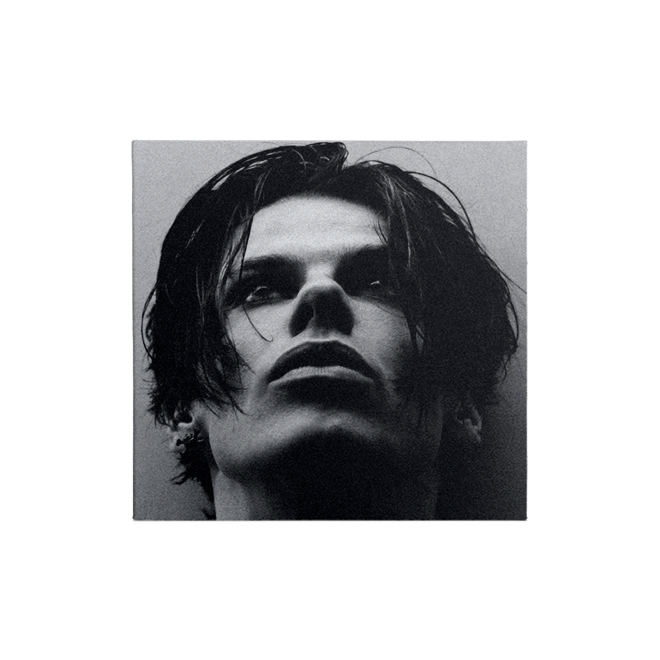 Idols Collectible Collage CD - 2 of 6