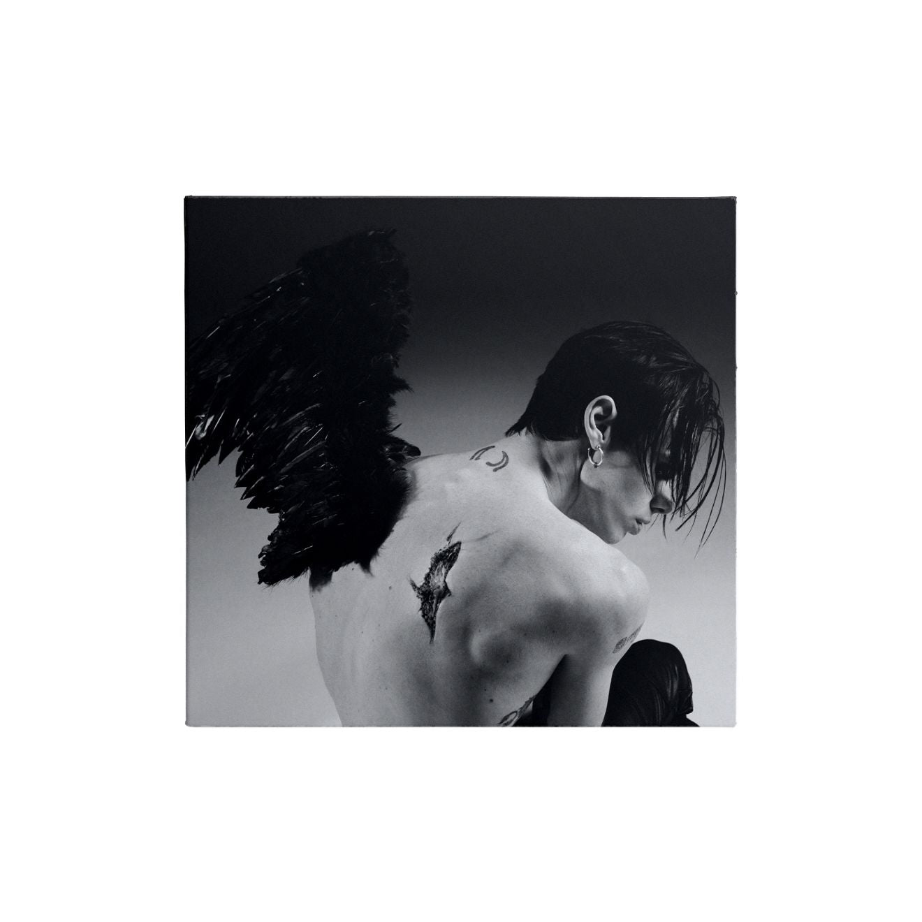 Idols Collectible Collage CD - 2 of 6