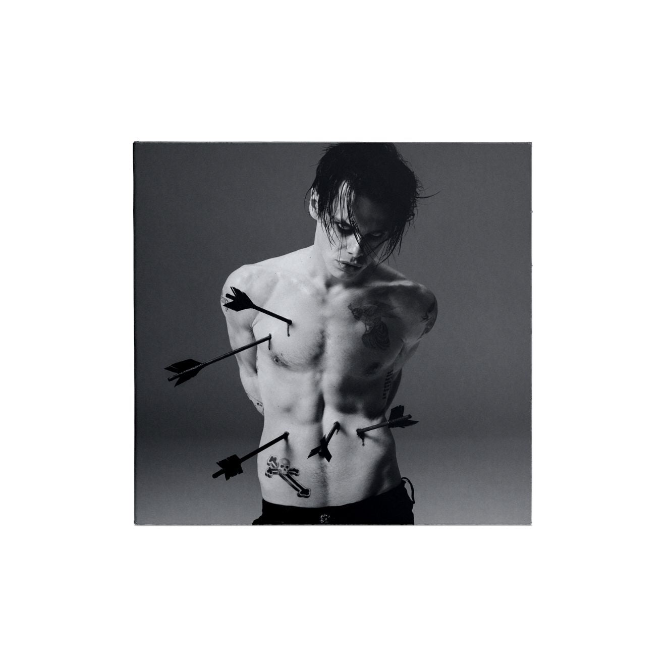 Idols Collectible Collage CD - 3 of 6