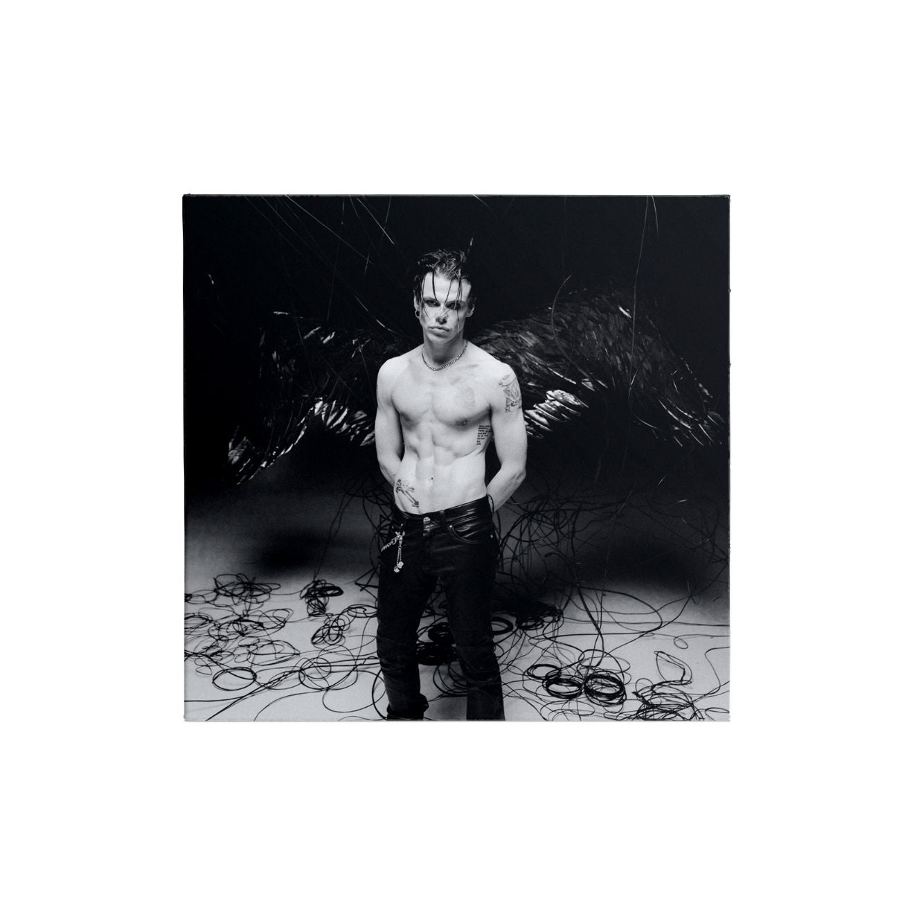 Idols Collectible Collage CD - 6 of 6