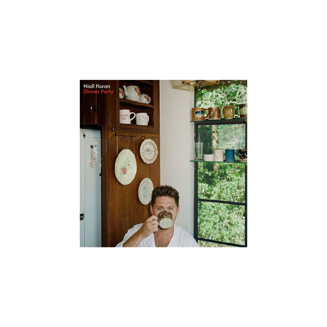 Dinner Party Porcelain Vinyl