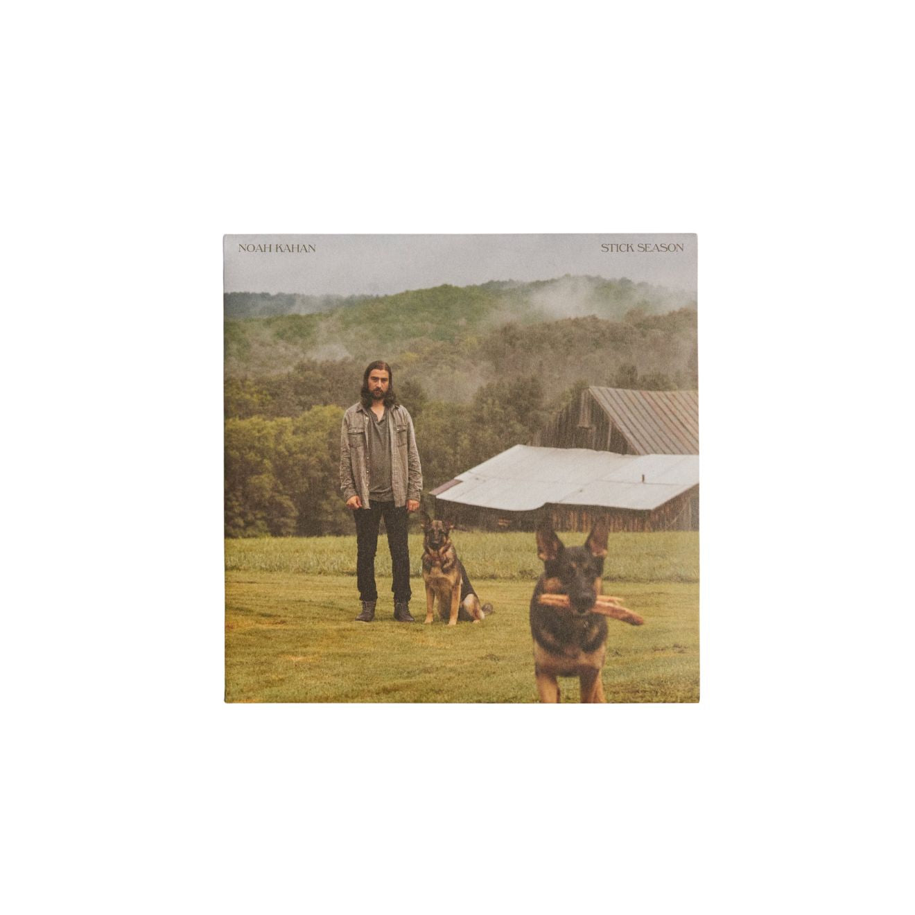 Stick Season Vinyl 2LP