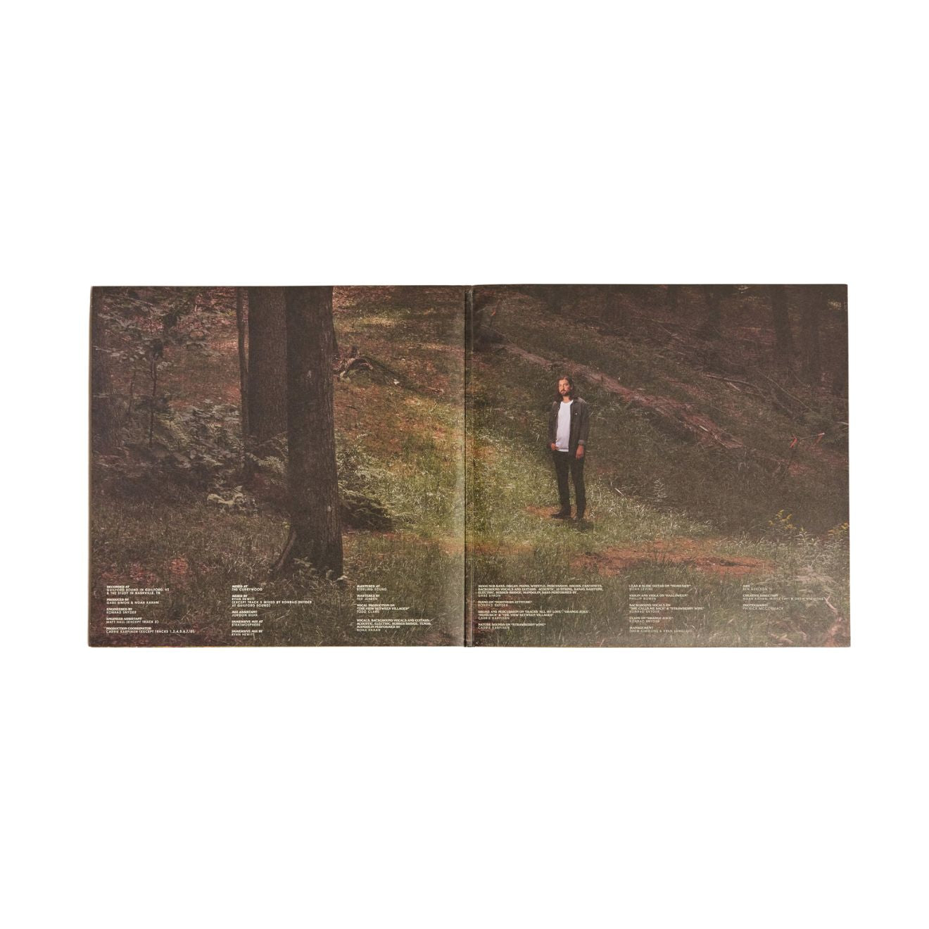 Stick Season Vinyl 2LP